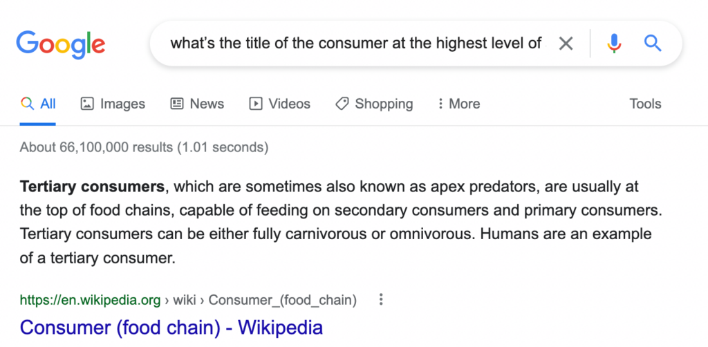 Google RankBrain Beispiel