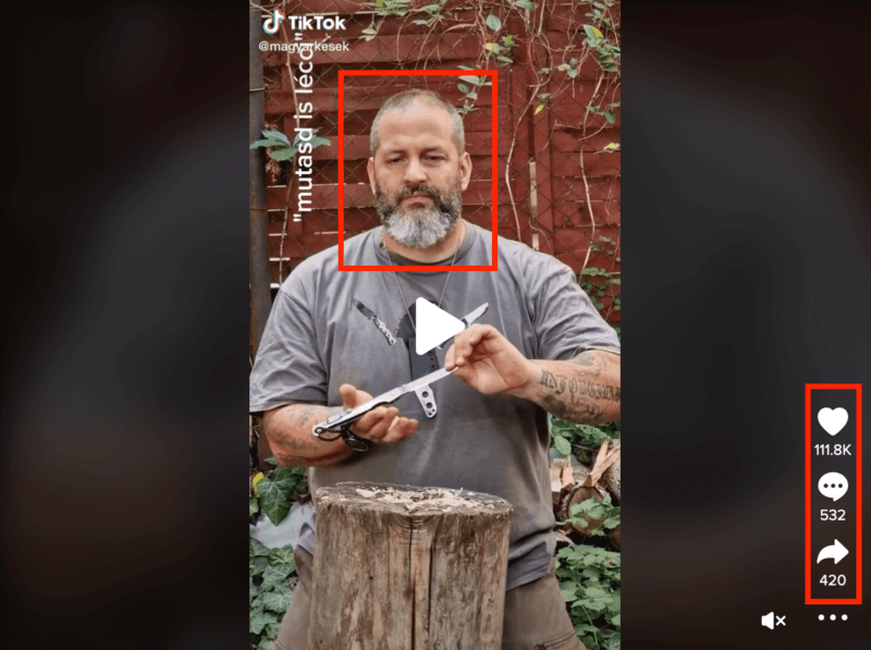 TikTok Video Trust